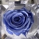 thumbnail image 2 of Mini rosa preservada color Sky Blue en cajita de regalo Mina’an-flor eterna, 2 of 4
