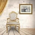 thumbnail image 3 of Sophie 6 24x17 Gold Ornate Wood Framed with Double Matting Museum Art Print Titled - Shades of Gray, 3 of 4