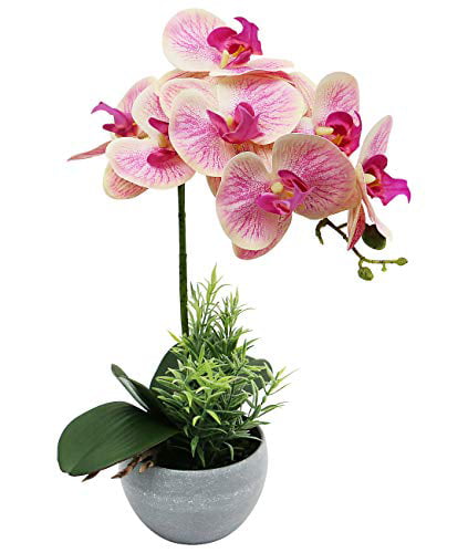 1 Bunch Artificial Orchid Fake Silk Flower Plastic Plant Bedroom Home Decoration 