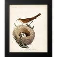 thumbnail image 2 of Latham, John 12x14 Black Modern Framed Museum Art Print Titled - Lesser White-Throat and Nest, 2 of 5