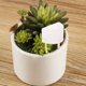 thumbnail image 4 of GOOHOCHY Dispositivo De Para Plantas Con Punta De Automático Autorellenable Y Control, 4 of 8