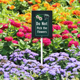 thumbnail image 2 of Eveokoki Please Do Not Pick The Flowers Sign with Stake Metal Yard Sign Garden Signs Outdoor for Lawn Yard Garden Decor, Easy to Install 8 x 12Inch, 2 of 6