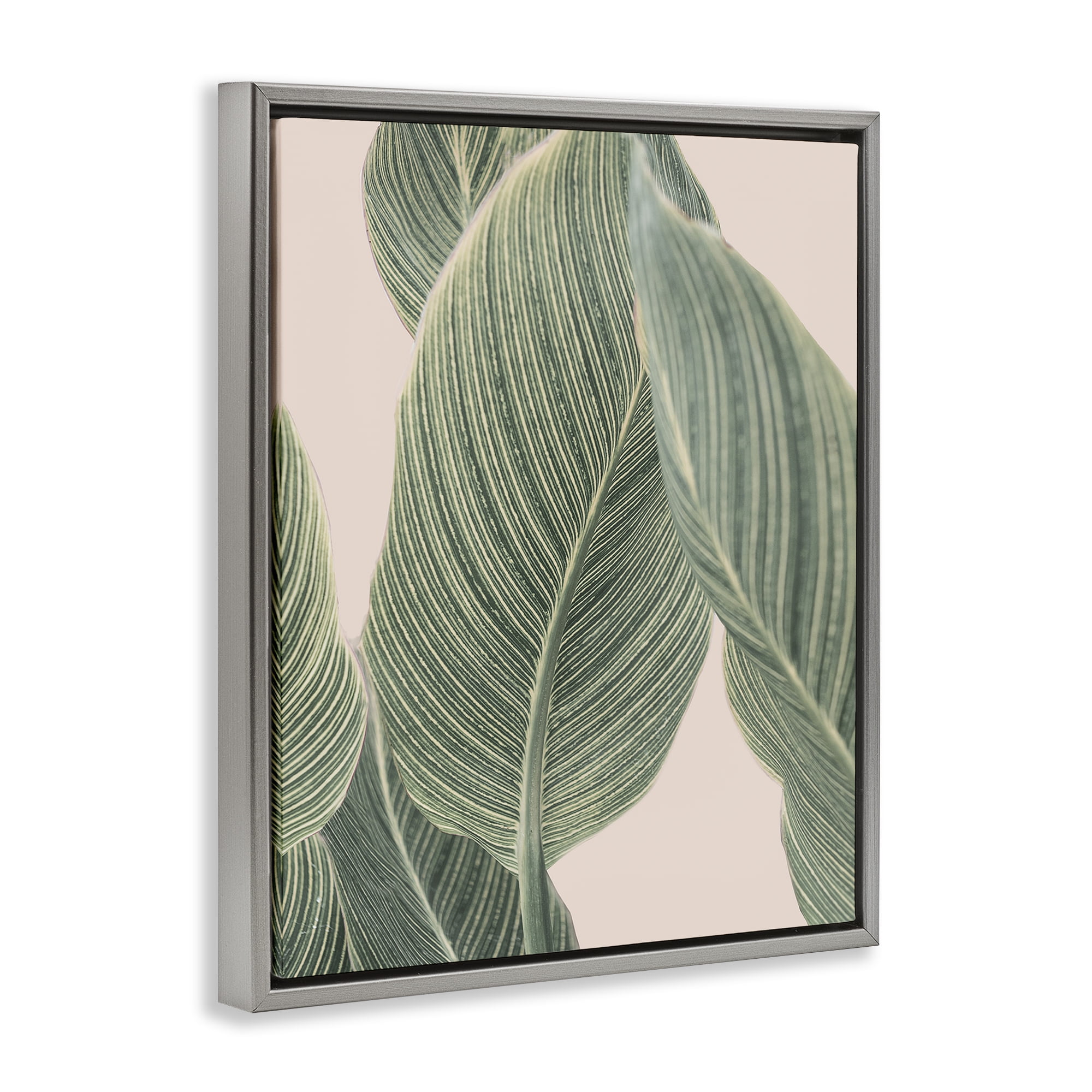 Stupell Industries Curled Green Leaves Plants & Flowers Painting Gray Floater Framed Canvas Art Print Wall Art, 17 x 21