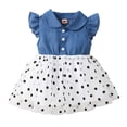 thumbnail image 1 of OLLUISNEO 4-5T Toddler Baby Girls Summer Dress Flying Sleeve Stitched Polka Dot Mesh Dress, 1 of 8