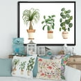 thumbnail image 2 of Designart 'Trio of House Plants Ficus Ponytail and Palm' Traditional Framed Canvas Wall Art Print, 2 of 5