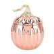 thumbnail image 4 of Copa de vino de calabaza de acero inoxidable con forma de calabaza, color oro rosa, sencilla y práctica, con tapa para bar en casa., 4 of 14