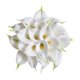 thumbnail image 1 of Duhouse 20 Flores Artificiales De Lirio De Cala De Látex De Tacto Real Para Bricolaje, Ramo De Boda, Fiesta, Decoración Del Hogar (Núcleo Blanco-Amarillo), 1 of 1