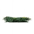 thumbnail image 4 of Boxwood Milan Artificial Hedge 20"X20" 6 Pack, 4 of 5