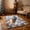 B, variant on Miwamany Christmas 3D Visual Floor Rug, Large Area Carpet for Living Room Bedroom Entryway, Holiday Decoration with Wear Resistant Backing