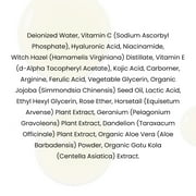 KLEEM ORGANICS Dark Spot Corrector Night Serum for Face, Hands & Neck - Formulated with Vitamin C, Vitamin E, Ferulic Acid & Hyaluronic Acid - 1 fl oz