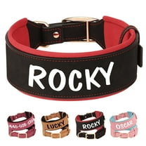 Pet Artist Wide Leather Padded Dog Collar Personalized with Name Rottweiler Labrador M-XL