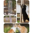 thumbnail image 6 of 2025 New Hardware Cloth 1/4 inch 24" x 100' ft 23 Gauge - Black Vinyl Coated Wire Mesh Roll Chicken Wire Fencing, Garden Wire Fence Rolls, 6 of 6