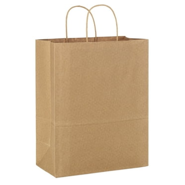Hallmark Large Gift Bag (Solid Brown Kraft Paper)