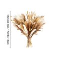 thumbnail image 3 of Dried Pampas Grass Decor Set – Faux Bunny Tails and Pampas Grass Bundle for Boho Home Table Wedding Farmhouse Party Decoration, 3 of 6