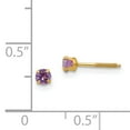 thumbnail image 3 of Boucles d'Oreilles Clous en Or Jaune 14k Pierre de Naissance Améthyste Simulée 3 mm Février Février, 3 of 7
