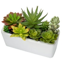 Artificial Mixed Succulents Plants in White Ceramic Planter Assorted Fake Succulents Plant Arrangements in Pots Faux Succulent Plants Potted Home Decor