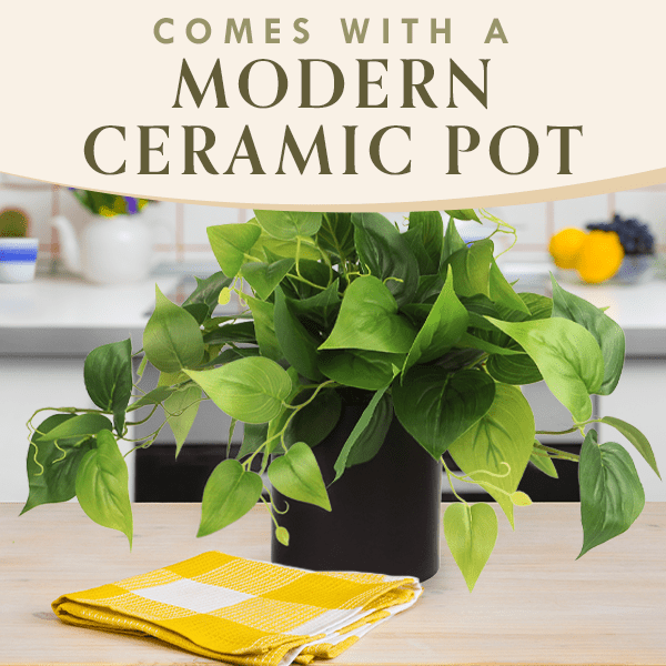 ARTIFICIAL POTHOS PLANT IN BLACK POT (2 Pack)