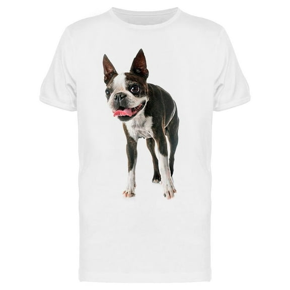 Cute Boston Terrier T-Shirt Men -Image by Shutterstock, Male Large