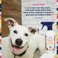 thumbnail image 4 of Pet Life Unlimited Deep-Clean Spray Dog Shampoo, Vanilla Ginger, 16oz, 4 of 14