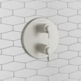 thumbnail image 5 of American Standard Studio S Shower Trim in Brushed Nickel, 5 of 6