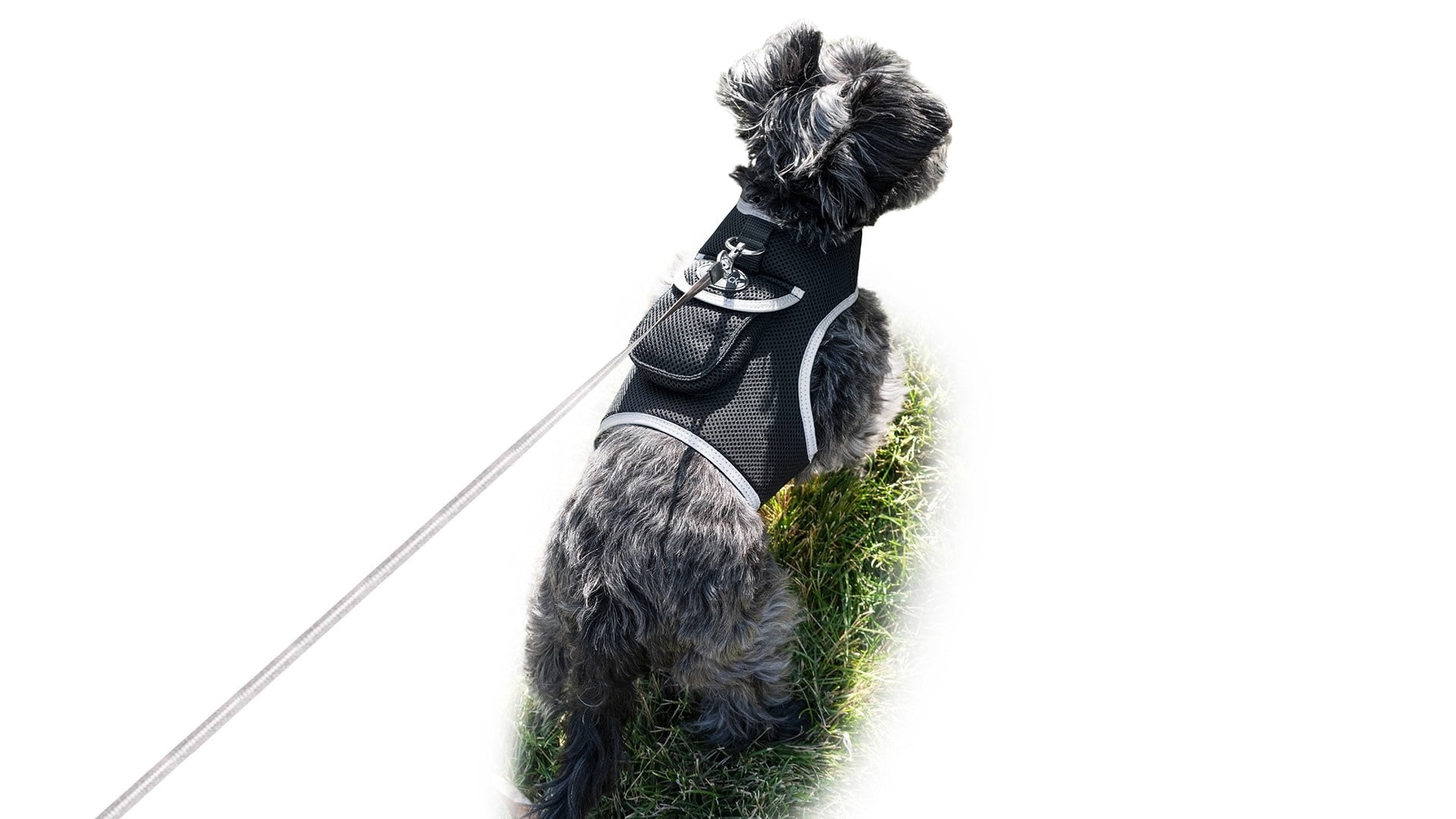 Mini Pet Location Tracking w/ Waterproof GSM GPRS Pet Tracking Device Size:M