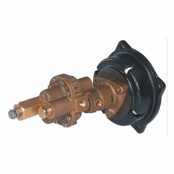 Dayton Rotary Gear Pump Head, 1/4 In., 1/2 HP 4KHA9