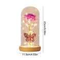 thumbnail image 3 of Hometravel Glass Dome Night Light, Preserved Rose and Butterfly Display with LED Base, Crystal Flower Decor with Glowing Effect for s, 3 of 6