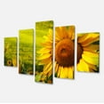 thumbnail image 2 of Tuscany Sunflowers on Green - Floral Canvas Art Print, 2 of 3