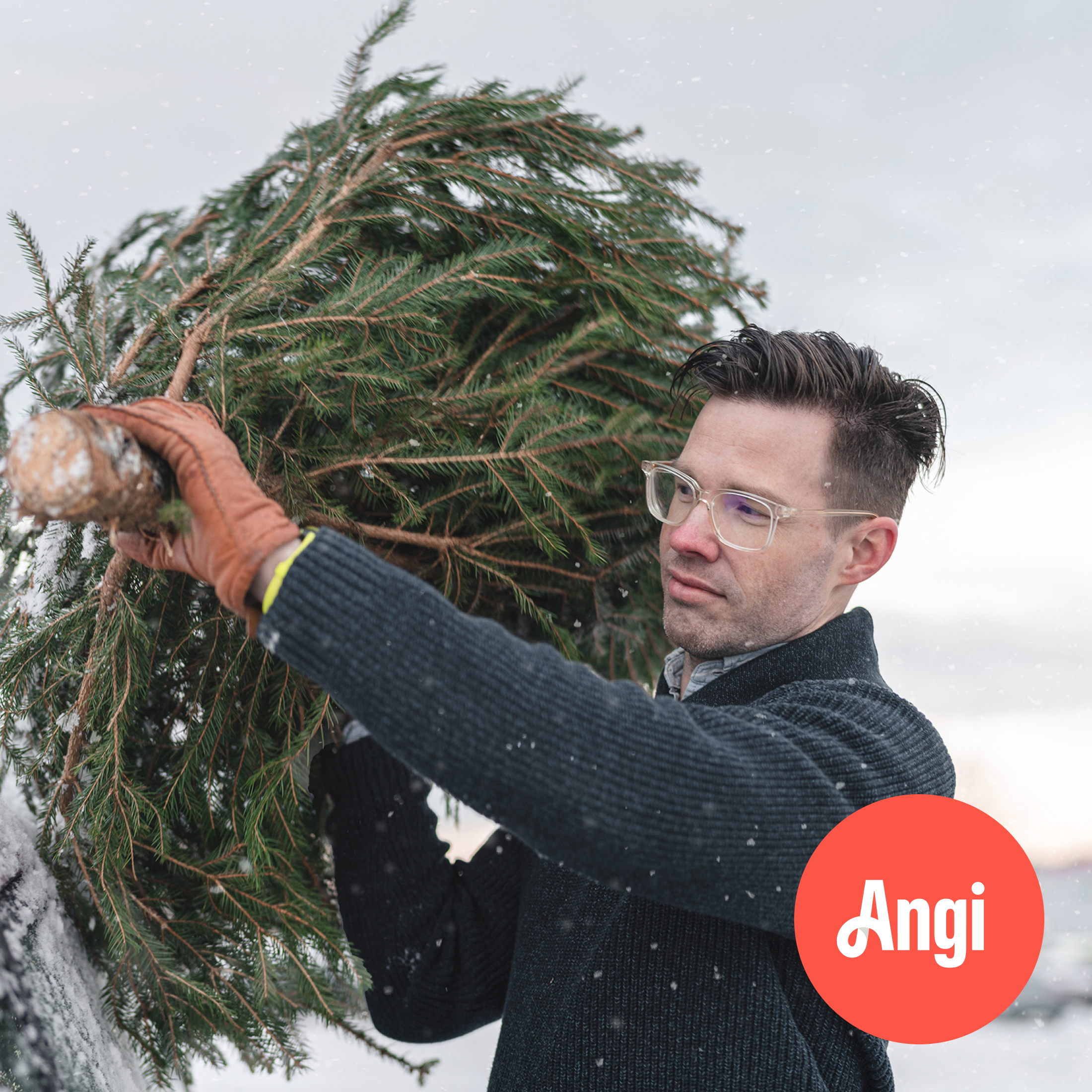 Christmas Tree Haul Away
