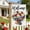 Multicolor #2, variant on American Independence Day Garden Flag Patriotic Decoration | Outdoor Yard Banner for Porch and Patio | Double Sided Print for Indoor and Outdoor Display