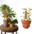 thumbnail image 4 of Plantas De 40Cm, Varilla De Coco Para Flores, Varilla De Coco, Poste De Soporte Para Plantas, Soporte Para Plantas Trepadoras De Interior Yuarrent HA042136-01, 4 of 6