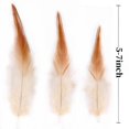 thumbnail image 3 of 200Pcs Natural Craft Feathers Bulk 5-7in Feathers for Jewelry Earrings Making Dream Catcher Crafting Home Party Hats Dress Decoration, 3 of 5