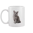 thumbnail image 2 of British Blue Cat Sitting Mug -Image by Shutterstock, 2 of 3