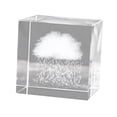 thumbnail image 1 of Adornos de grabado de pisapapeles de cristal 3D, de señal meteorológica, artesanías, recuerdos para el hogar, oficina, decoración de boda Fe Lluvia Baoblaze Cubo de cristal, 1 of 8
