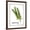 Brown Frame, variant on Art.com Watercolor Herbs V Art Print by Grace Popp, 12" x 16"
