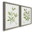 thumbnail image 3 of Herb Sage - Premium Framed Canvas 2 Piece Set - Ready to Hang, 3 of 7