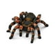 thumbnail image 1 of Figura animal Schleich Wild Life Tarántula de 3 a 8 años, 1 of 5