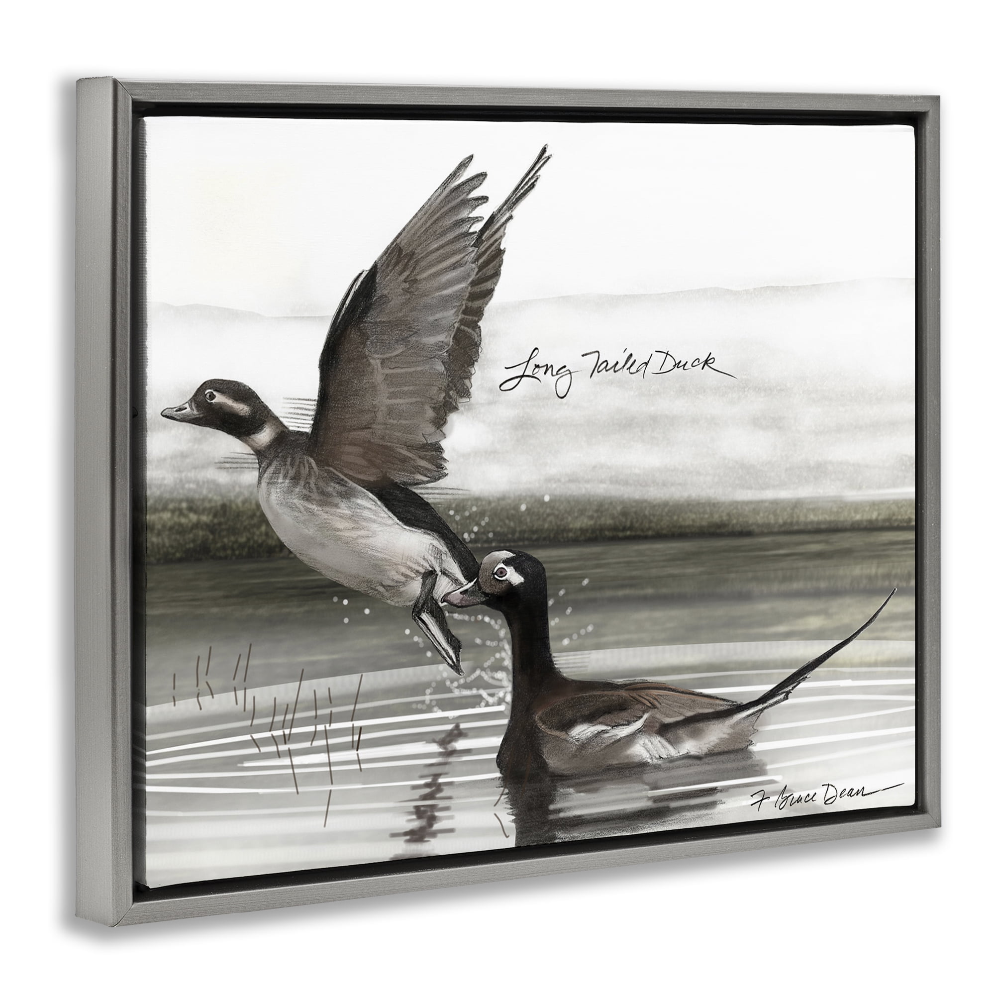 Stupell Industries Long Tailed Duck Animals & Insects Painting Gray Floater Framed Canvas Art Print Wall Art, 31 x 25