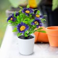 thumbnail image 4 of Ltdhehe Bonsai Desk Arrangement Home Centerpiece Wedding, 4 of 5