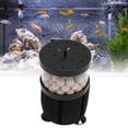 View all media