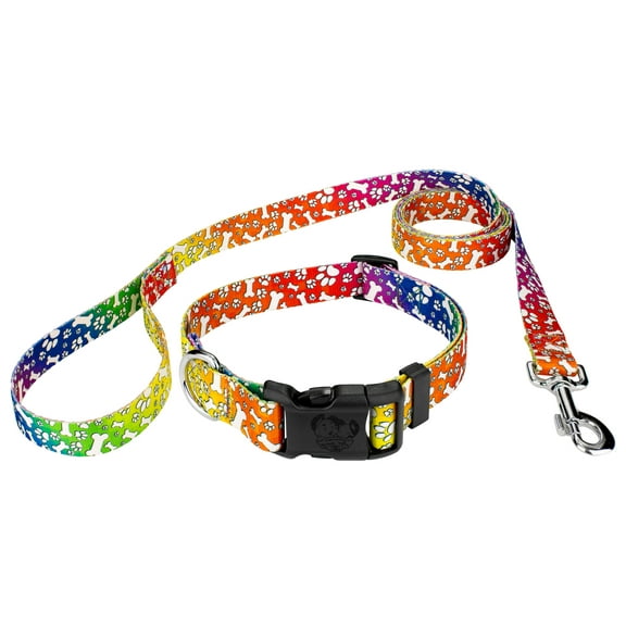 Country Brook Petz® Trippy Doggo Deluxe Dog Collar and Leash, Small