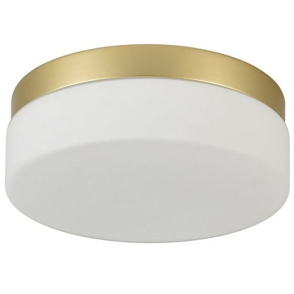 TICOZE 1 PACK 12 Inch LED Flush Mount Ceiling Light Fixture - 24W 3CCT Adjustable, Modern Round Gold Surface Mount Lamp for Kitchen, Bathroom, Laundry, Bedroom, Hallway