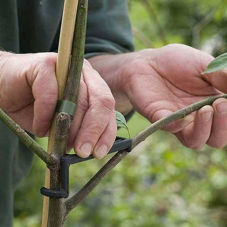 KONTONTY Tree Branch Bending Clips, Black Plastic Plant Training Tool, 25  Pieces for Gardening and Tree Shaping - Walmart.com