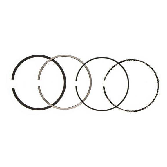 John Deere AM879197 Piston Ring Kit 4100 2020 2030 4110 500 X495 X595 2210 1435