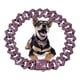thumbnail image 1 of Cadena Para Perros, Cadenas Cubanas De Oro Para Perros Y Gat, 1 of 7