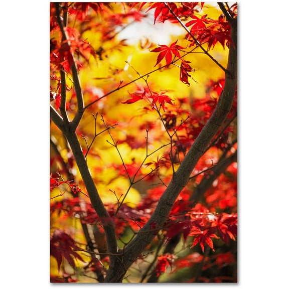 Trademark Fine Art "Morning Jive" Canvas Art by Philippe Sainte-Laudy