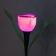 thumbnail image 4 of Hongzer Lámpara de energía Solar, 4 Piezas de energía Solar al Aire Libre Tulipán Luz de Flor LED Impermeable Decoración de lámpara de jardín de césped, Adornos de Patio de Jardines(Rosado) EOTVIA NO, 4 of 6