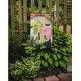 thumbnail image 2 of Carolines Treasures 8545GF Sand Dollar Flag Garden Size, 2 of 3