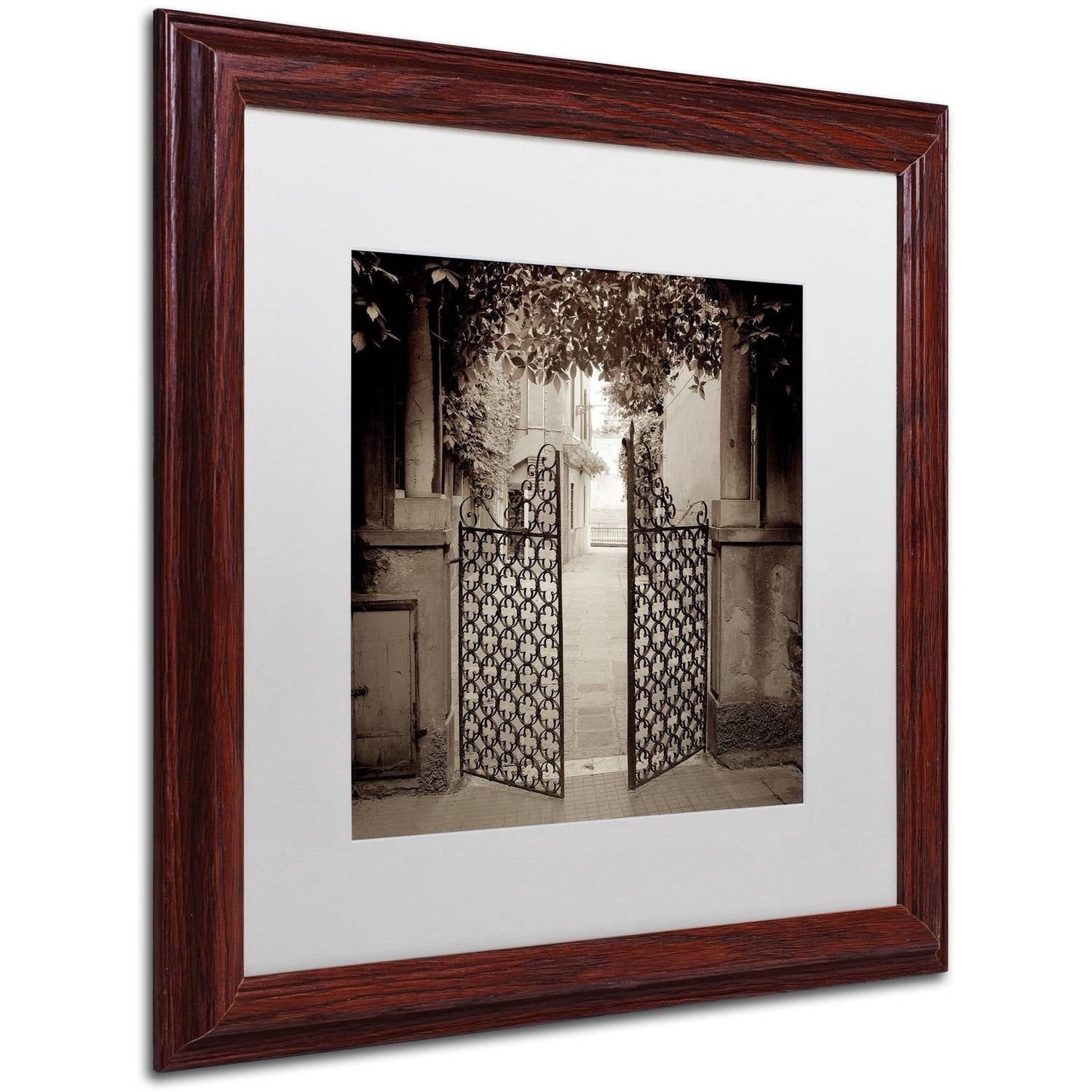 Trademark Fine Art "Venezia V" Canvas Art by Alan Blaustein, White Matte, Wood Frame