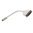 thumbnail image 1 of Cable adaptador Connectland Mini-DVI a DVI 1920x1200 @60Hz, 1 of 7